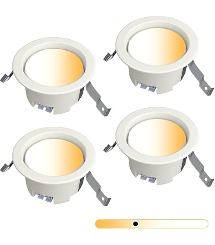 Amazon.co.jp: パナソニック(Panasonic) 軒下用LEDダウンライト φ150